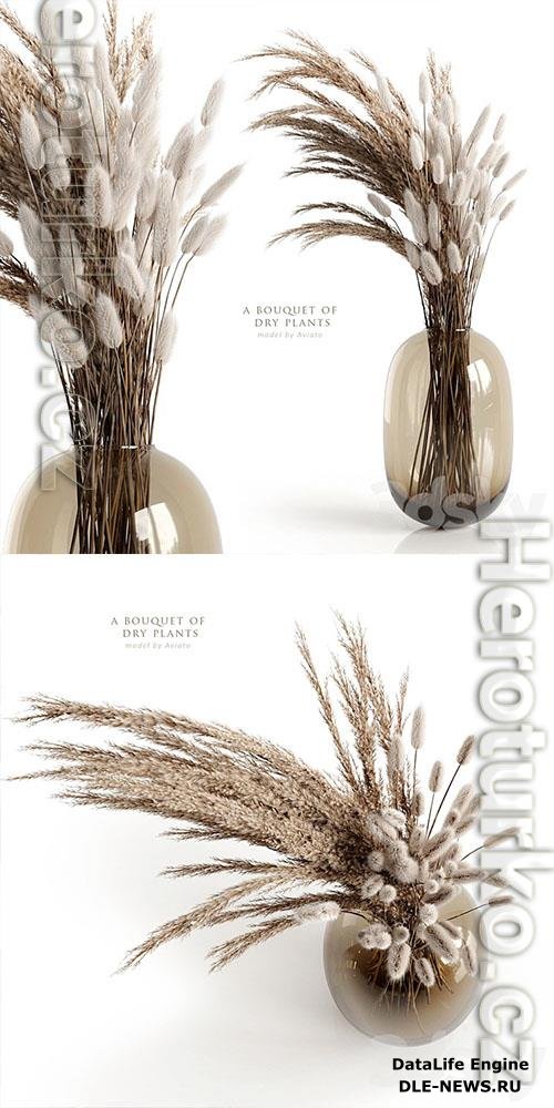 A bouquet of dry plants 3D Models