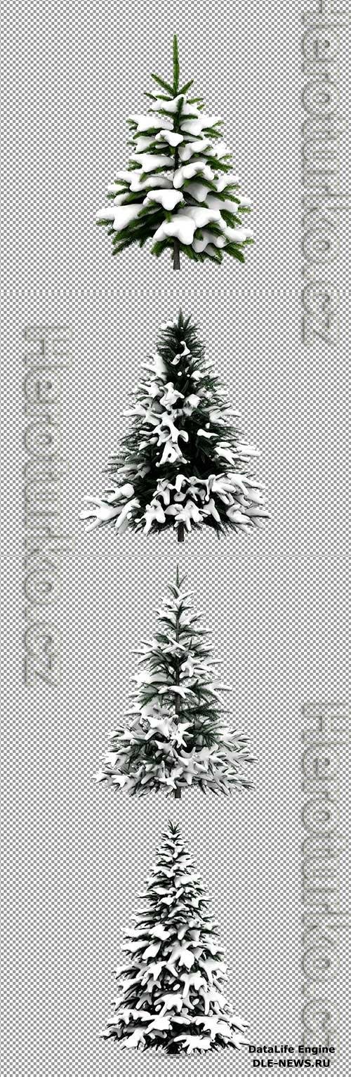 PSD beautiful Christmas tree in snow in 3d rendering isolated