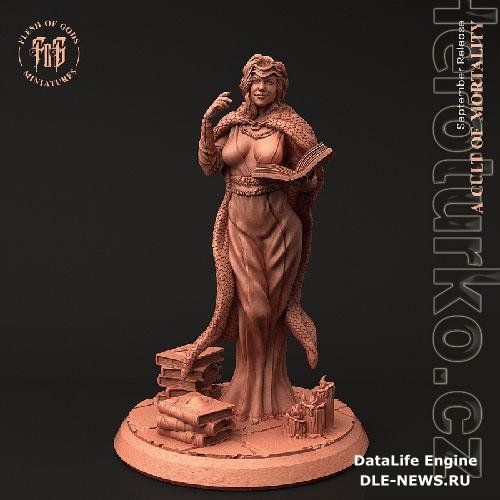 3D Print Models Cult Leader - Female Wizard (Drider Human Form)