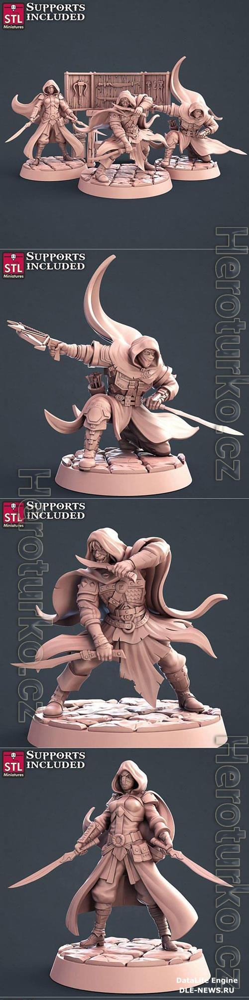 3D Print Models STL Miniatures - Assassins Set