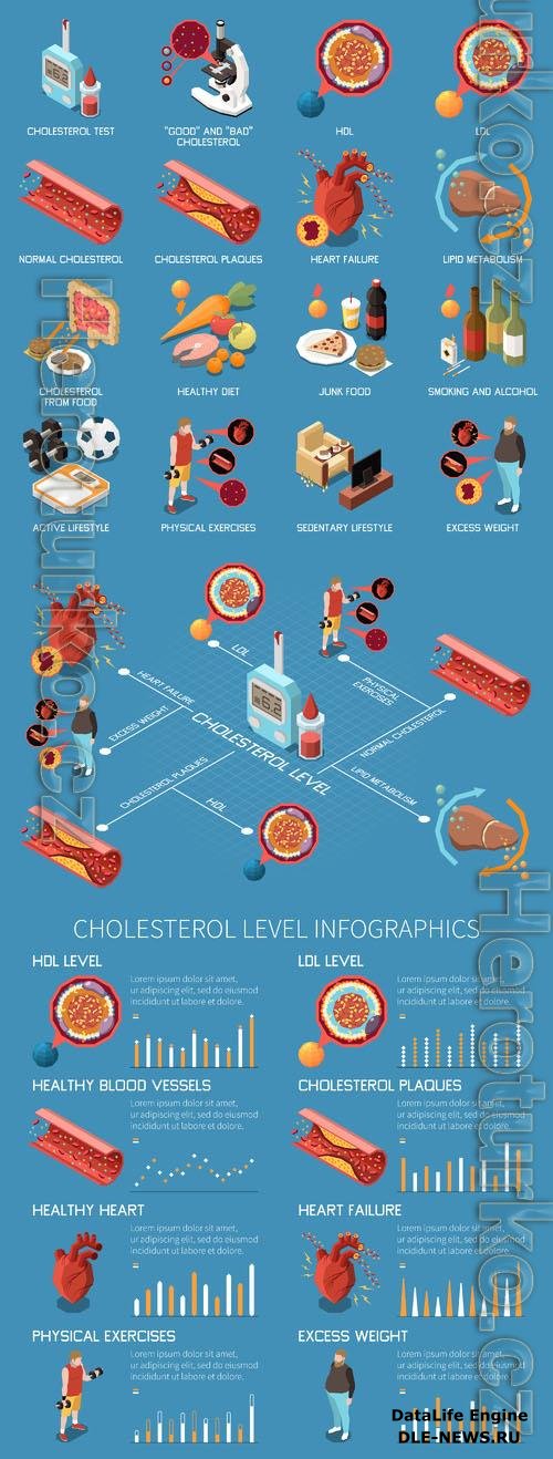 Vector cholesterol isometric icons set with hdl